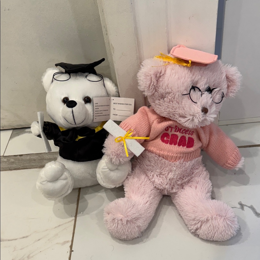 Pink 'Princess Grad' Plush Graduation Bear - Kids Toys